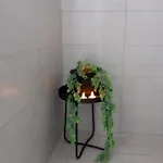 Vic Pigneto, Luxury House Terrace