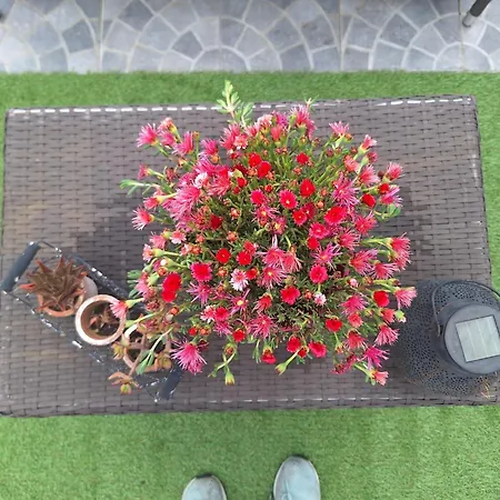 Vic Pigneto, Luxury House Terrace