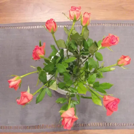 Vic Pigneto, Luxury House Terrace Lägenhet