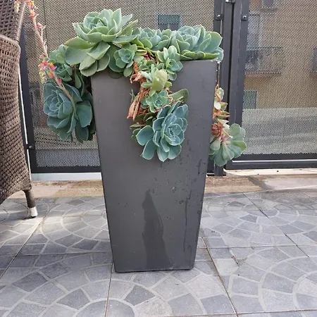 Vic Pigneto, Luxury House Terrace 로마